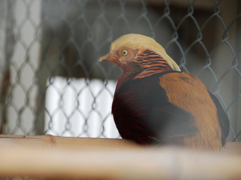 �B�Z�ְ�ȫ�W