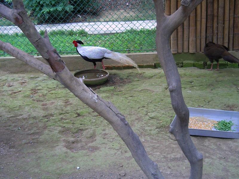 ����@���o�W(w��ng)�߶�