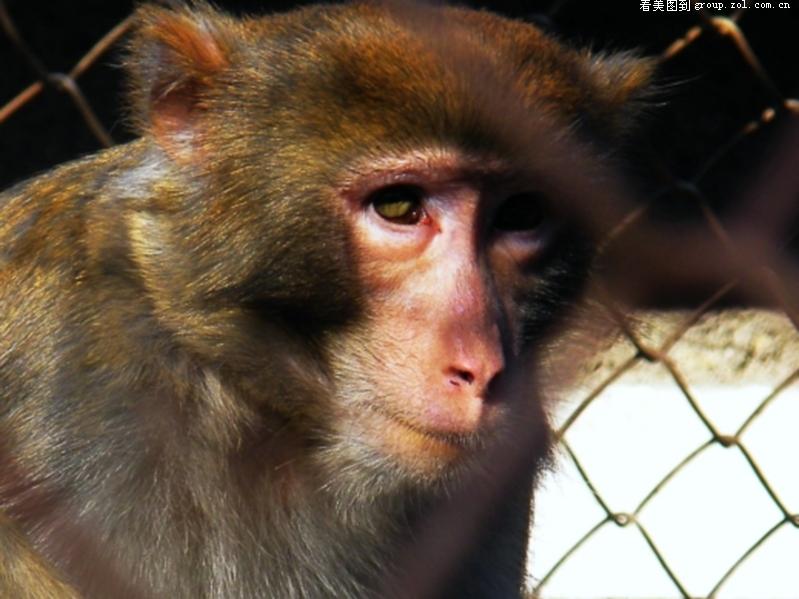 ����@���o�W