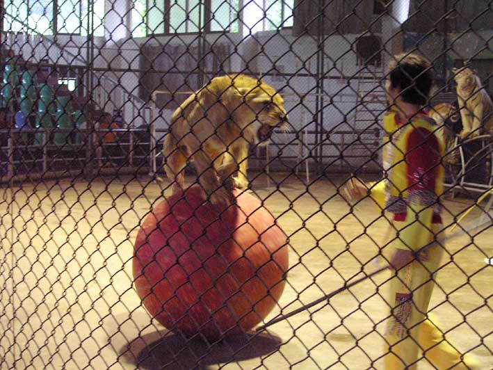 ����@���o�W