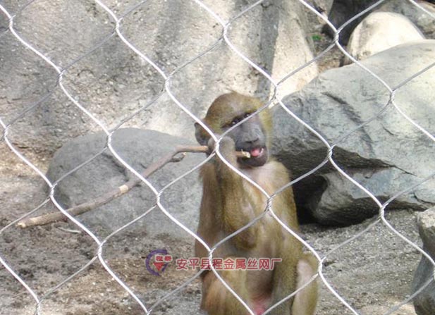 ���P䓄�(d��ng)��@���o(h��)�W(w��ng)���c(di��n)