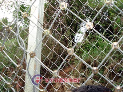 RX-050�ͱ��ӷ��o�W