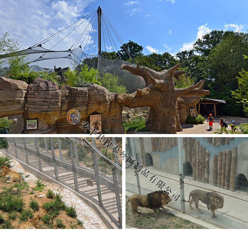 ����@���o�W�DƬ