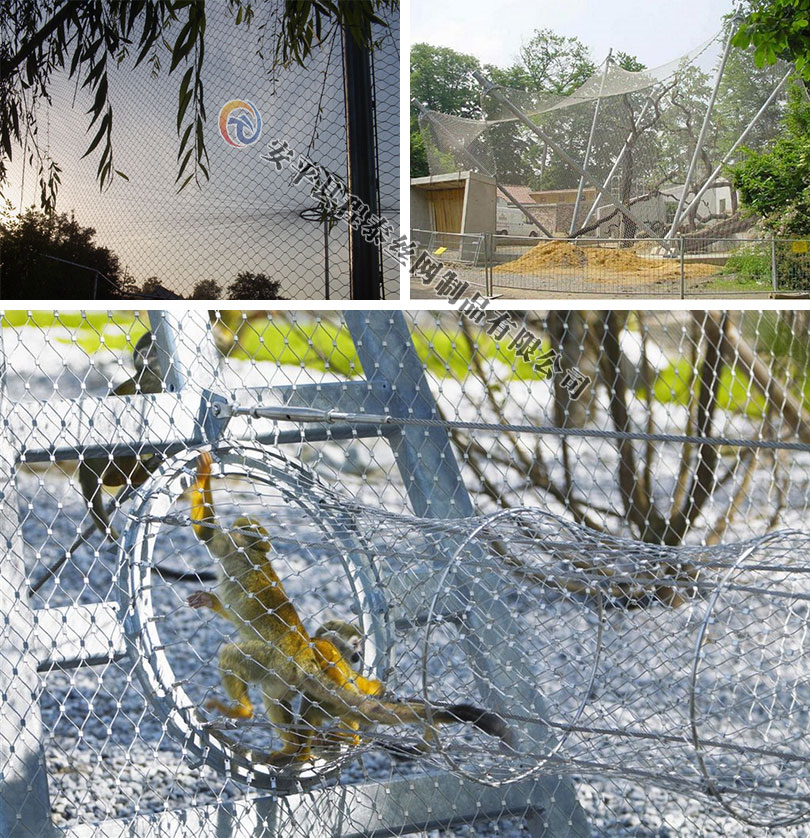 ����@���o�W�DƬ