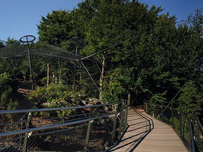 ��(d��ng)��@���o(h��)�W(w��ng),��̩���P��K�W(w��ng)ʩ������