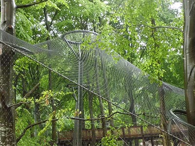 ���̈́�(d��ng)��@���P䓷��o(h��)�W(w��ng)���̰���