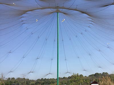 �؎X�B�Z�־W,����@���o�W���̰���