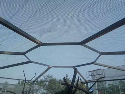 ��ɽ��(d��ng)��@���o(h��)�W(w��ng),���B(ni��o)�@���̰���