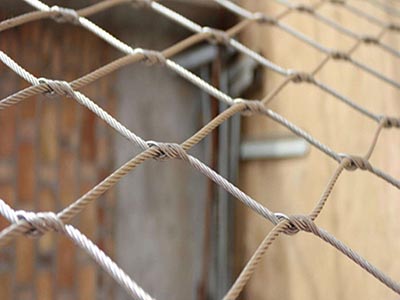 ���P䓾����W